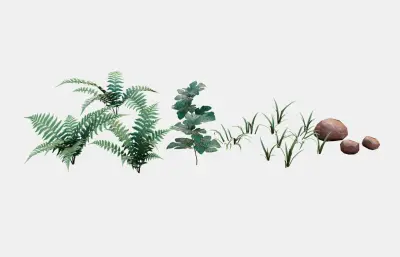 花草 蕨类植物 绿化植物