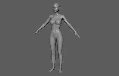 女人体 基础人体 写实人体