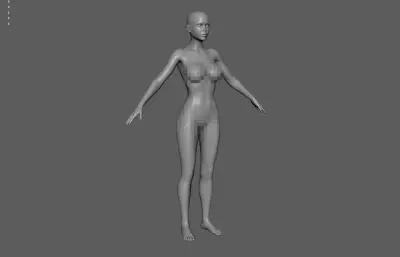 女人体 基础人体 写实人体