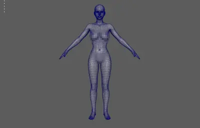 女人体 基础人体 写实人体