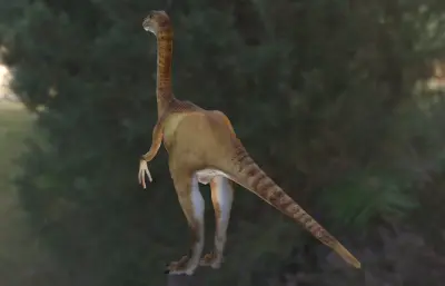似鸡龙,植食恐龙3dmax模型