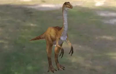 似鸡龙,植食恐龙3dmax模型