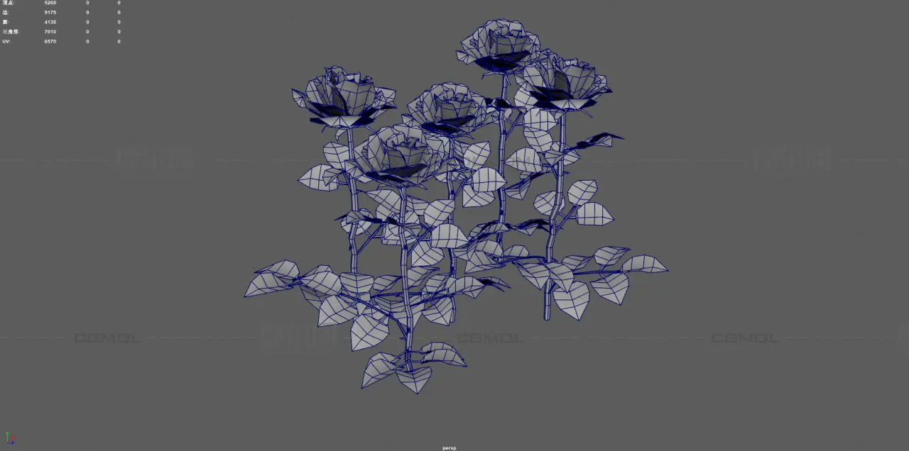 玫瑰花 鲜花花朵 月季花植株组合