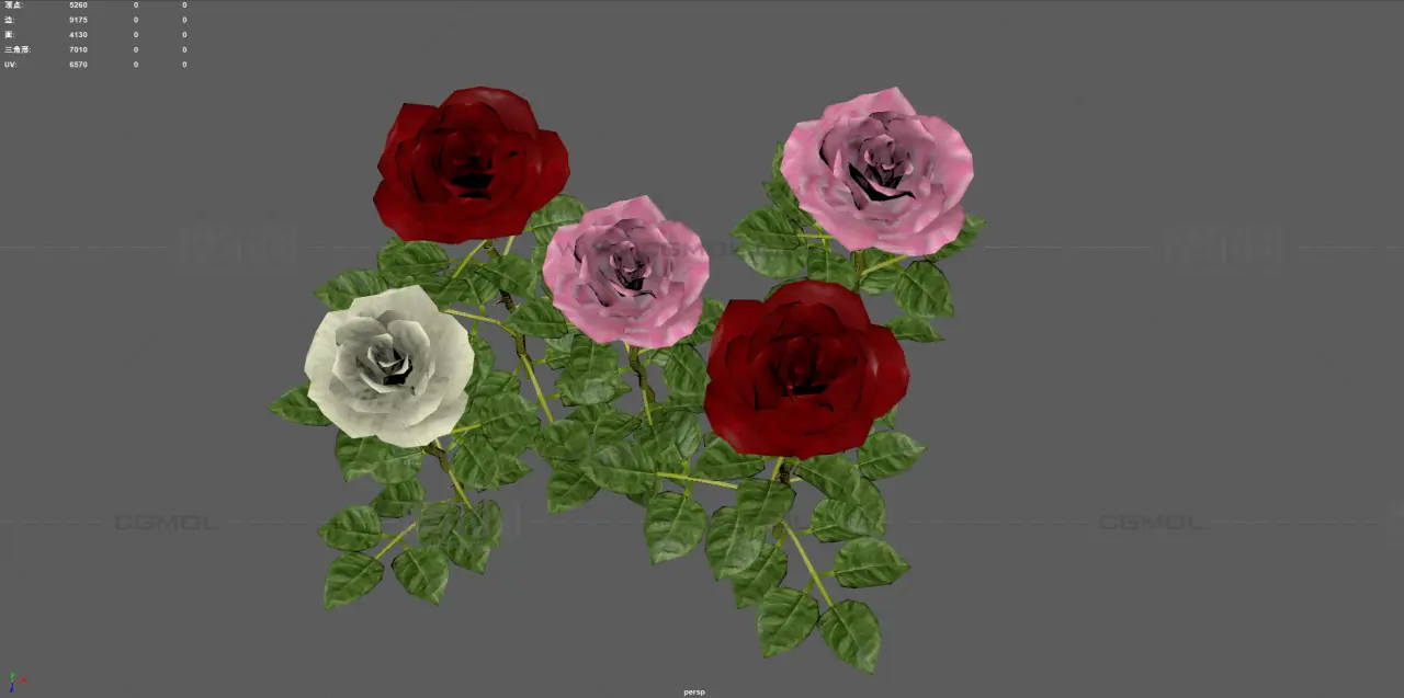 玫瑰花 鲜花花朵 月季花植株组合