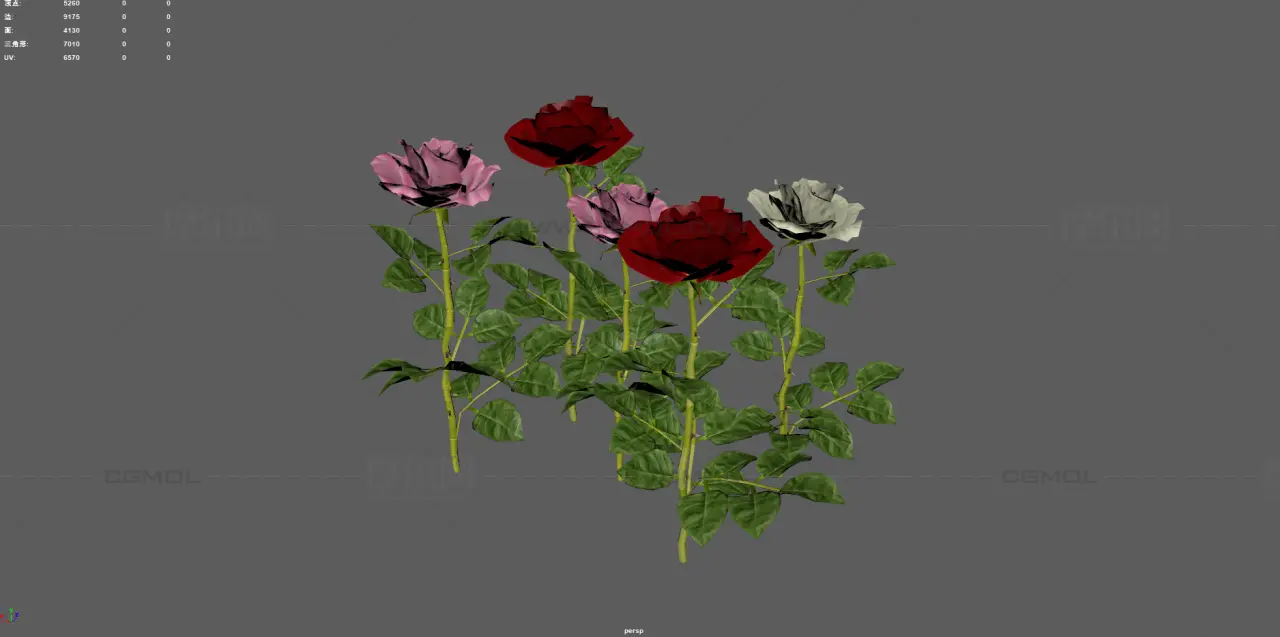 玫瑰花 鲜花花朵 月季花植株组合