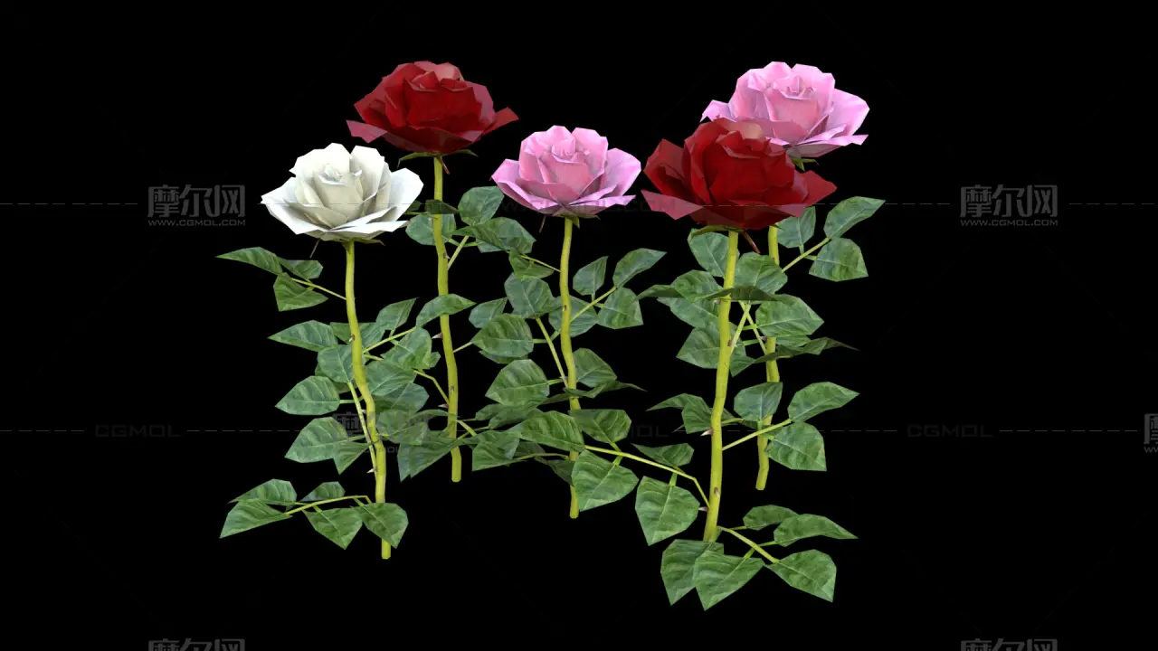 玫瑰花 鲜花花朵 月季花植株组合
