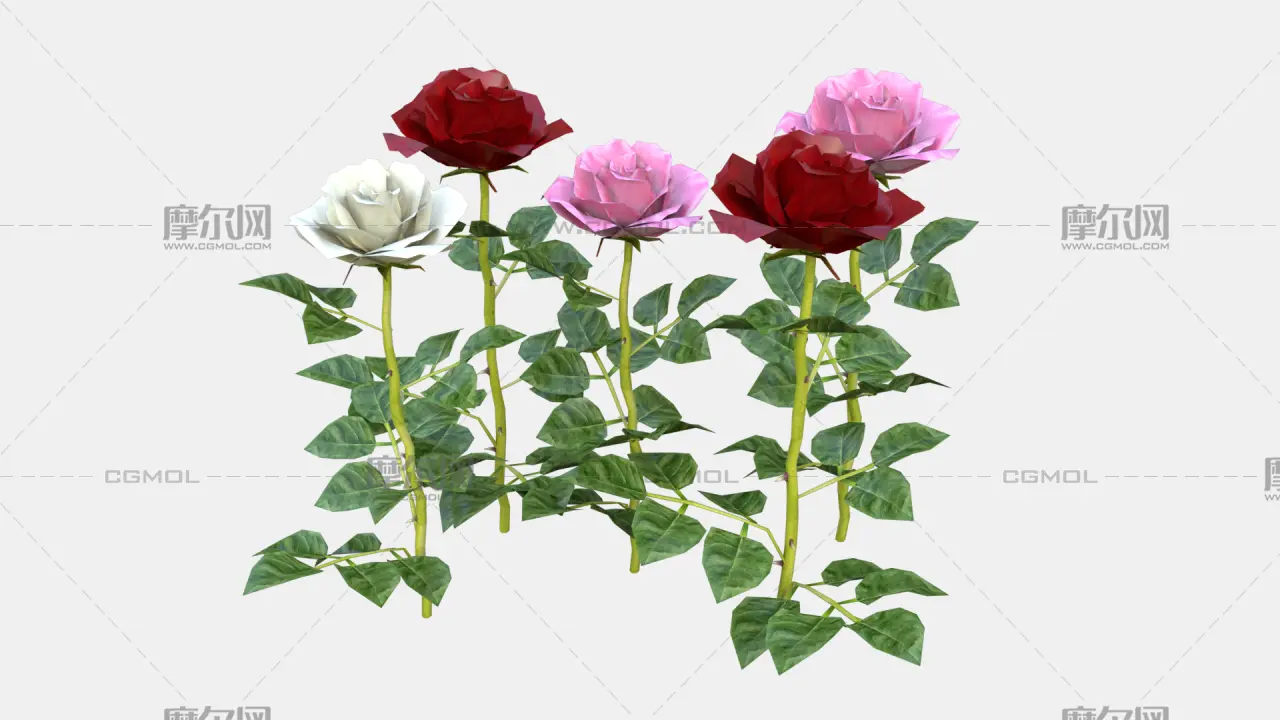 玫瑰花 鲜花花朵 月季花植株组合