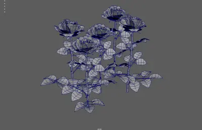 玫瑰花 鲜花花朵 月季花植株组合