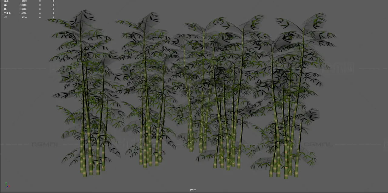 竹子 竹林植物 景观竹
