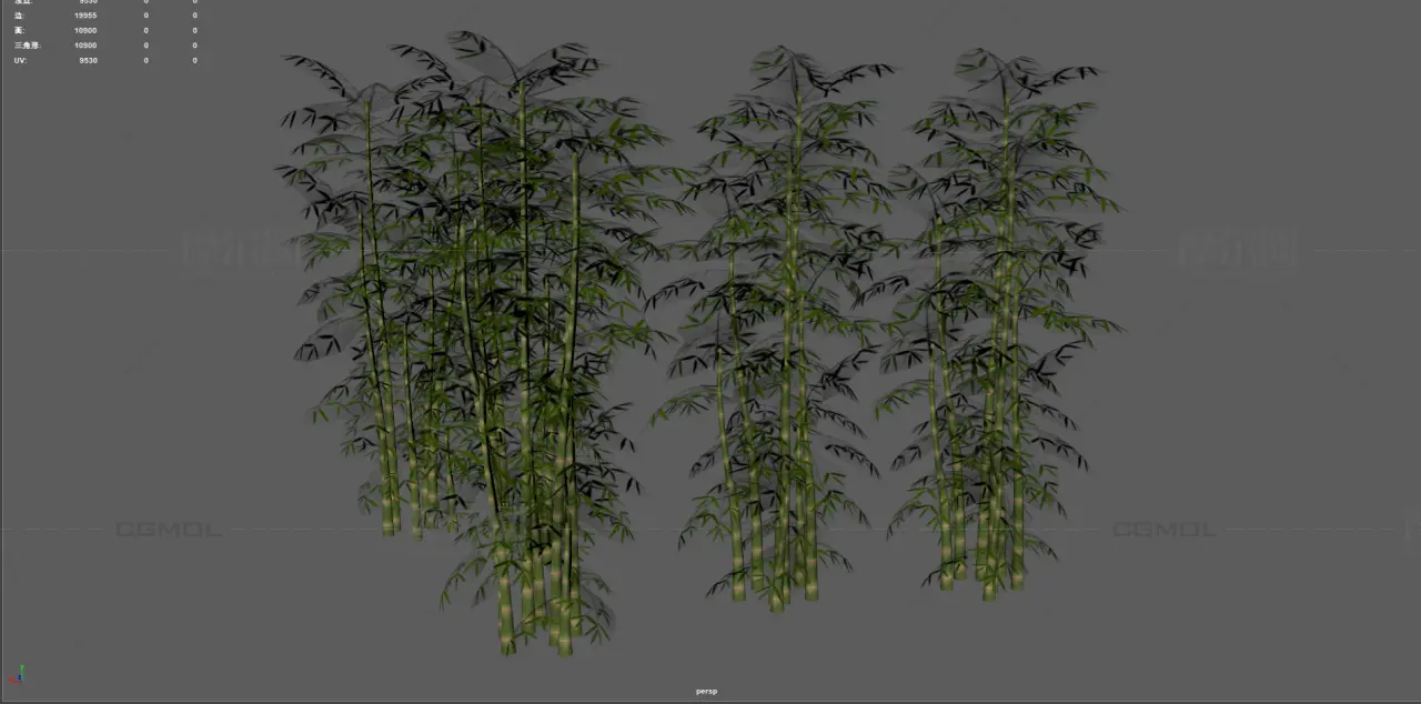 竹子 竹林植物 景观竹