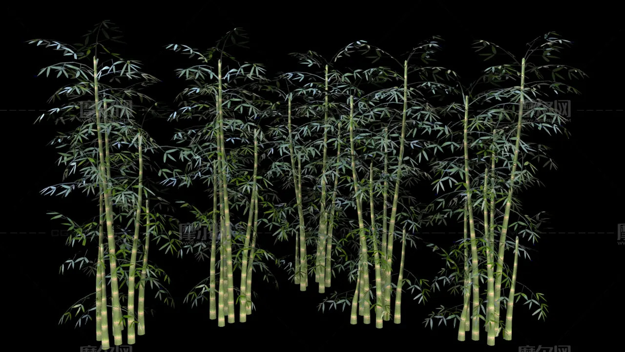 竹子 竹林植物 景观竹