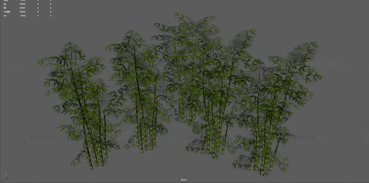竹子 竹林植物 景观竹
