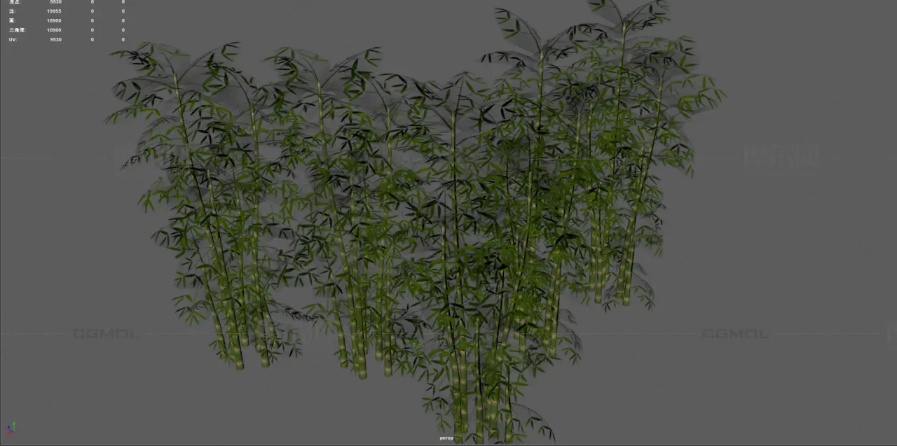 竹子 竹林植物 景观竹