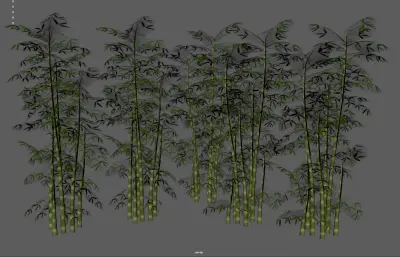 竹子 竹林植物 景观竹