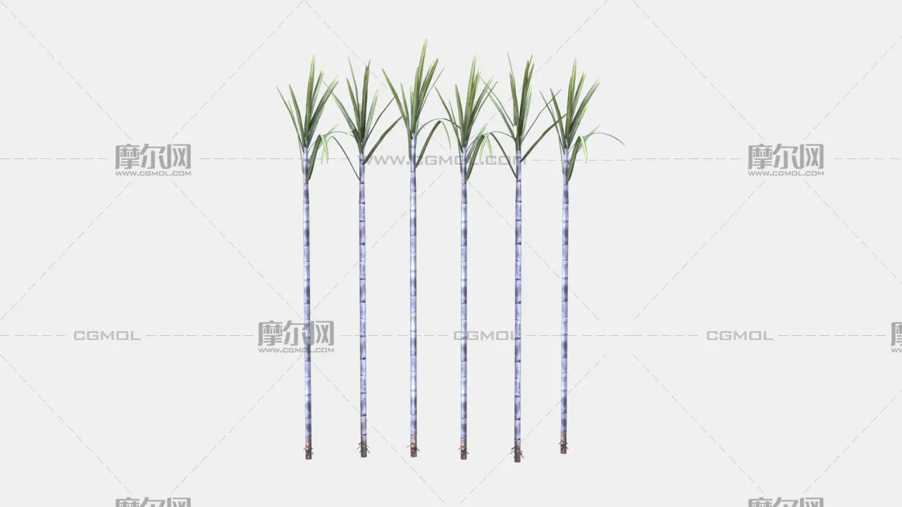 甘蔗 蔗糖植物 农作物塌陷模型