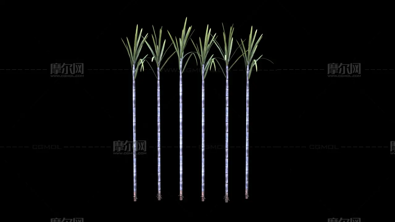 甘蔗 蔗糖植物 农作物塌陷模型