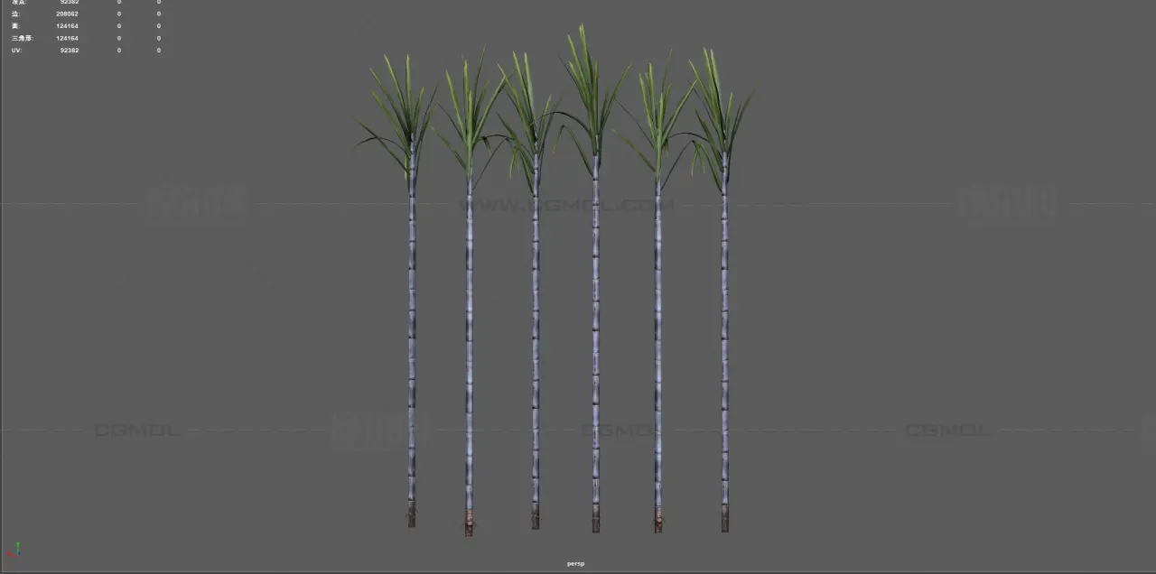 甘蔗 蔗糖植物 农作物塌陷模型