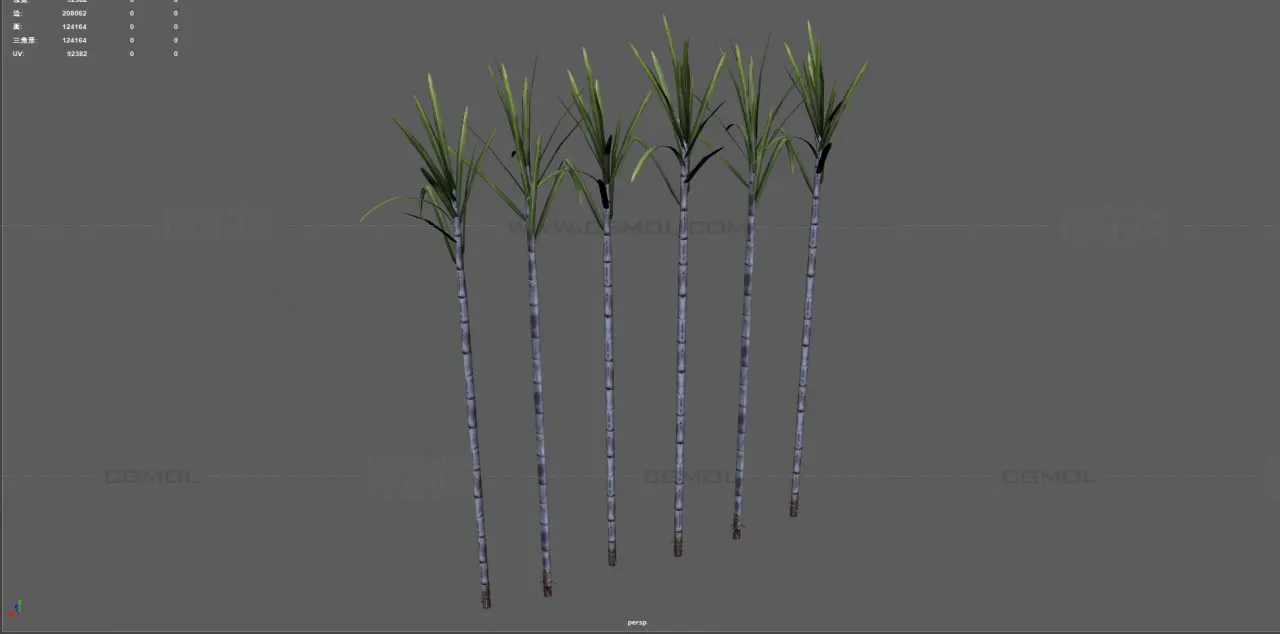 甘蔗 蔗糖植物 农作物塌陷模型