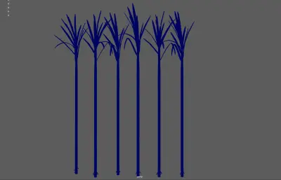 甘蔗 蔗糖植物 农作物塌陷模型