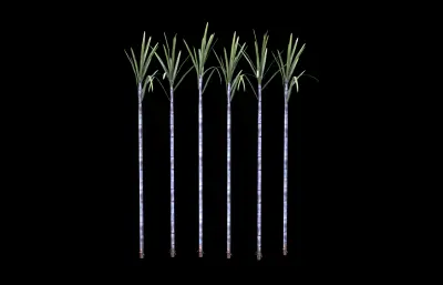 甘蔗 蔗糖植物 农作物塌陷模型1