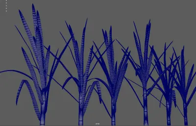 甘蔗 蔗糖植物 农作物塌陷模型