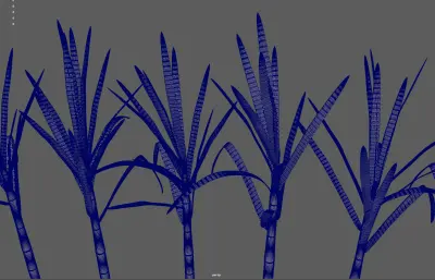 甘蔗 蔗糖植物 农作物塌陷模型