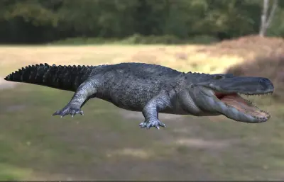 普鲁斯鳄,生存于晚中新世的生物