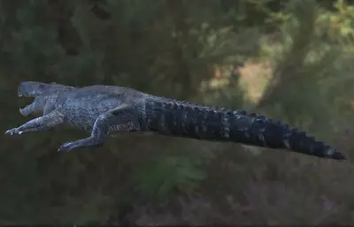 普鲁斯鳄,生存于晚中新世的生物