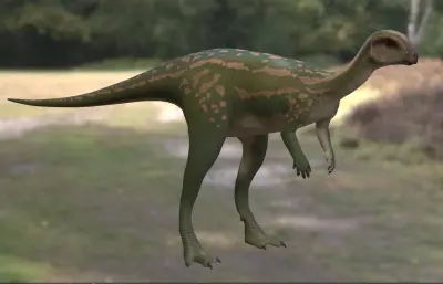 橡树龙,生存于晚侏罗世的生物