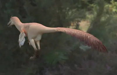 蒙古迅猛龙,蒙古伶盗龙3dmax模型