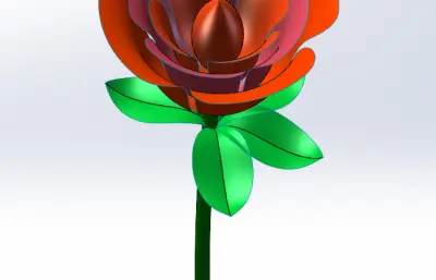 一朵带叶玫瑰花