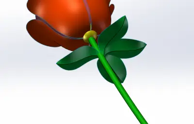 一朵带叶玫瑰花