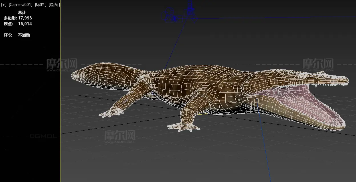 葡萄牙宽额螈3dmax模型