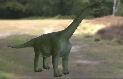 圆顶龙,生存于晚侏罗世的生物