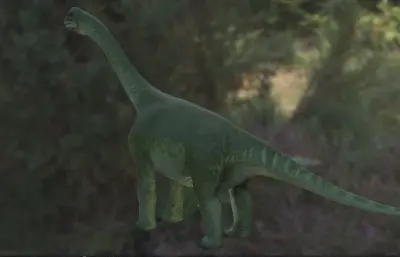 圆顶龙,生存于晚侏罗世的生物