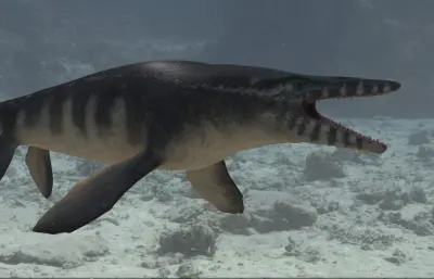 海王龙,沧龙3dmax模型