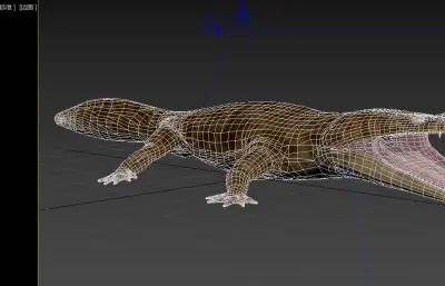 葡萄牙宽额螈3dmax模型