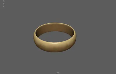 戒指 金戒指 指环