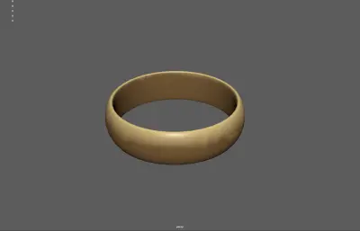 戒指 金戒指 指环