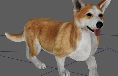 狗,柯基狗FBX模型