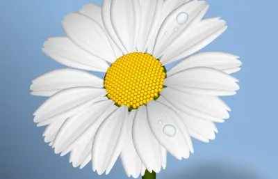 一朵雏菊花solidworks模型