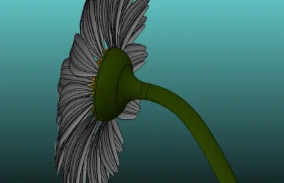 一朵雏菊花solidworks模型