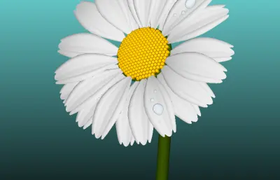 一朵雏菊花solidworks模型