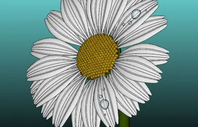 一朵雏菊花solidworks模型