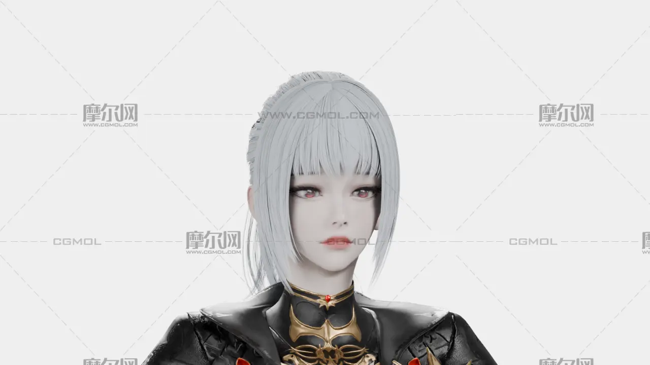 银发黑金幻想女性角色,带骨骼绑定,多格式