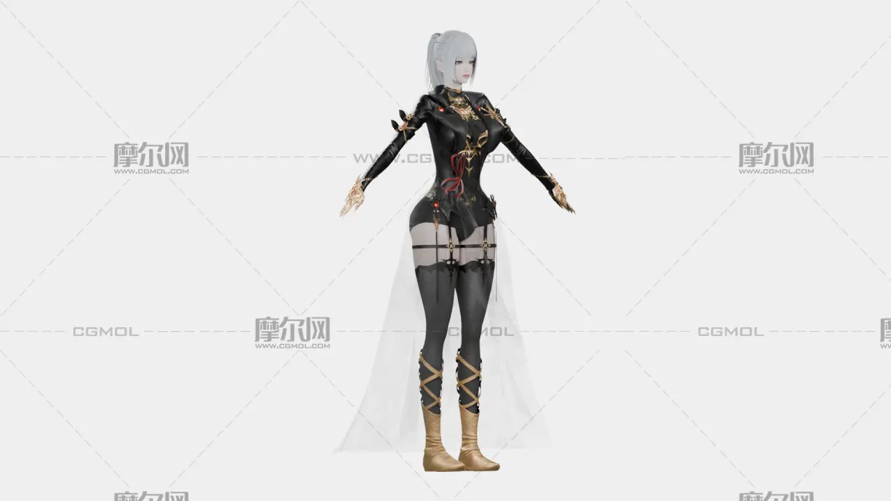 银发黑金幻想女性角色,带骨骼绑定,多格式