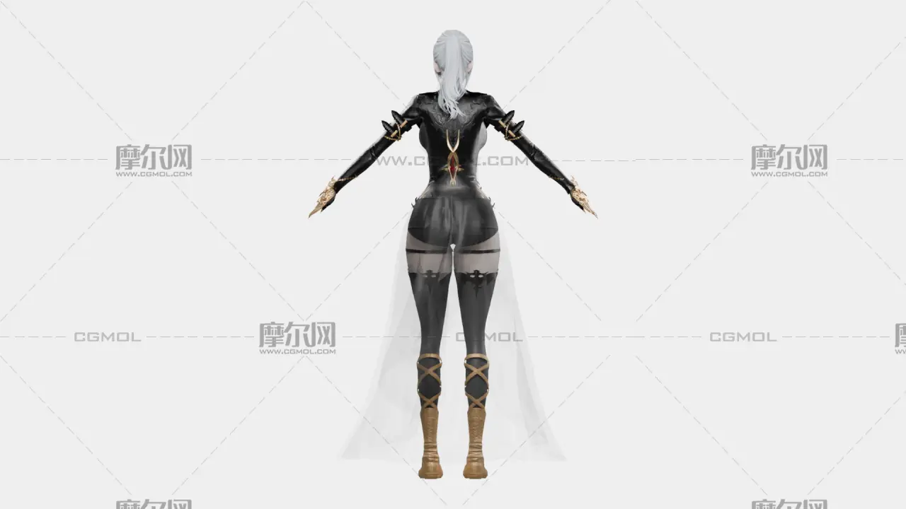 银发黑金幻想女性角色,带骨骼绑定,多格式