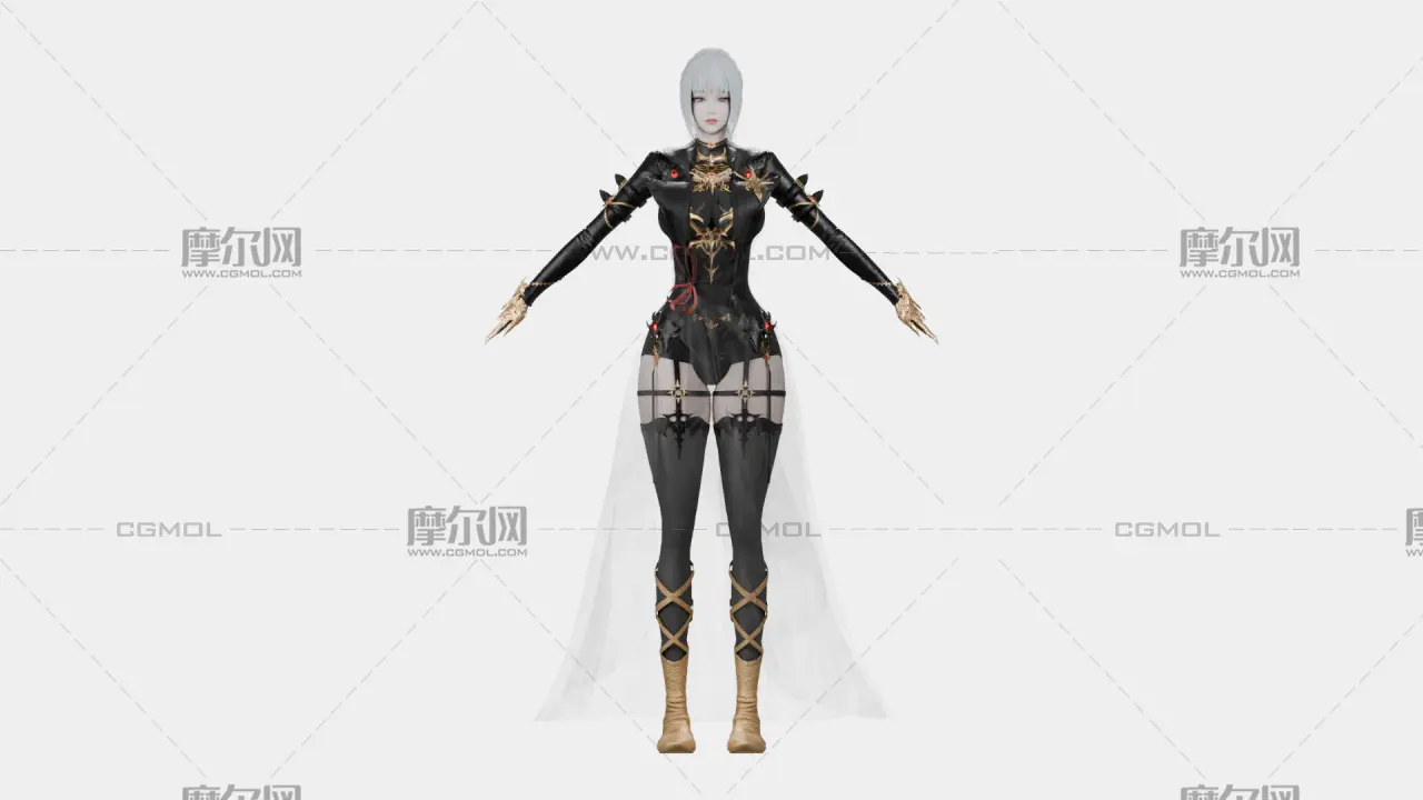银发黑金幻想女性角色,带骨骼绑定,多格式