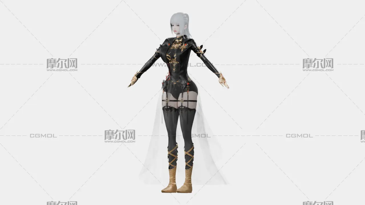 银发黑金幻想女性角色,带骨骼绑定,多格式