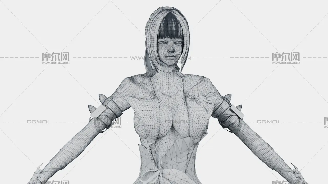 银发黑金幻想女性角色,带骨骼绑定,多格式